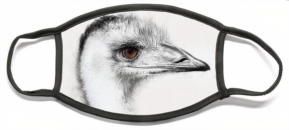 Ostrich Face Mask featuring the photograph The Ostrich by Neala McCarten
