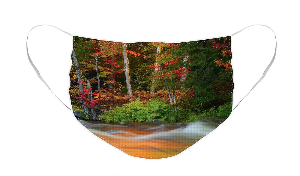 Autum Face Mask featuring the photograph The Season's Rythem by Henry w Liu