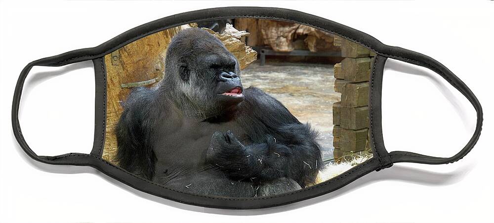 Lehtokukka Face Mask featuring the photograph The Smile. Gorilla at Kolmorden zoo by Jouko Lehto
