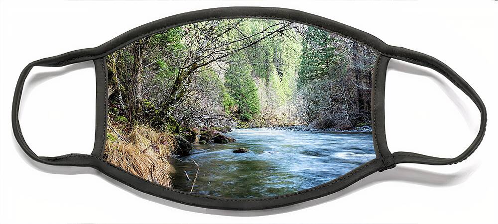 South Fork Face Mask featuring the photograph The South Fork of the McKenzie River by Belinda Greb
