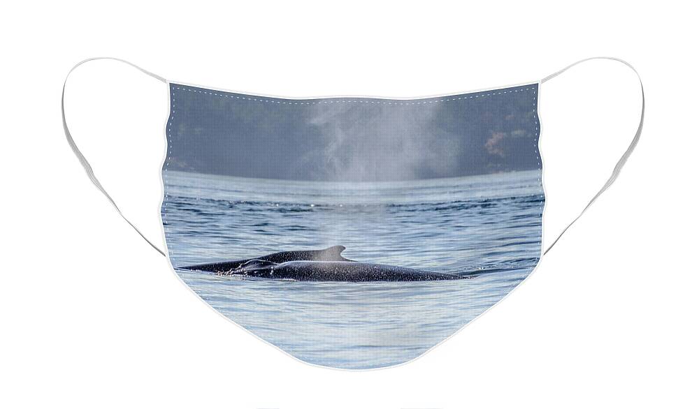 Humpback Whales Face Mask featuring the photograph The Spirit Revealed Mother and Child Humpback Whales by Roxy Hurtubise
