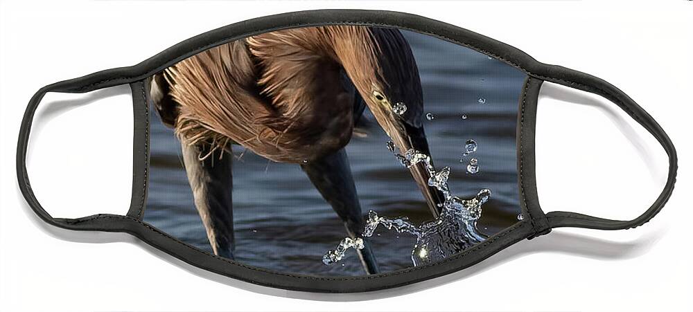 Reddish Egret Face Mask featuring the photograph The Strike by RD Allen