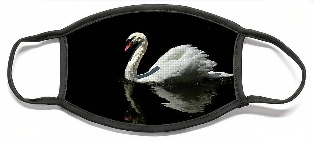 Charleston Face Mask featuring the photograph The Swan by Jim Miller