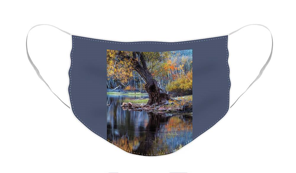 Beach Face Mask featuring the photograph The Tree at Lundy Lake by Laura Roberts
