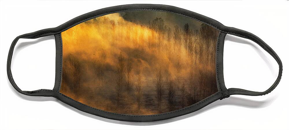 Bulgaria Face Mask featuring the photograph Thin Forest by Evgeni Dinev