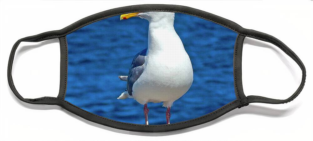 Sea Gull Face Mask featuring the photograph This is My Best Side by Gary Olsen-Hasek