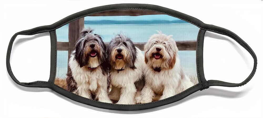 Old English Sheep Dogs Face Mask featuring the mixed media Three Dog Night and Day by Colleen Taylor