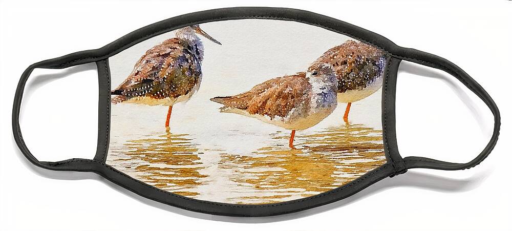 J. N. Ding Darling National Wildlife Refuge Face Mask featuring the mixed media Three Sandpipers Watercolor by Susan Rydberg