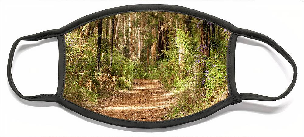 Bushland Face Mask featuring the photograph Through the Gum Trees by Elaine Teague