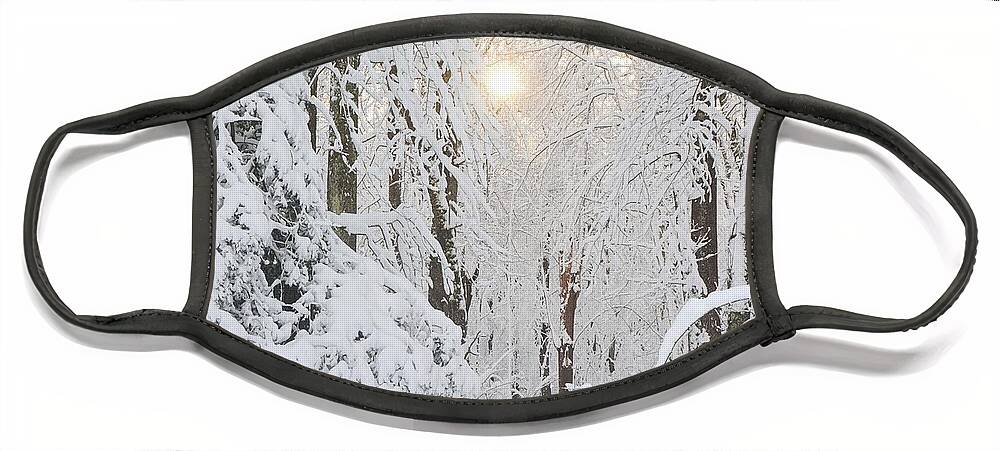 Snow Face Mask featuring the photograph Through the Trees by Addison Likins