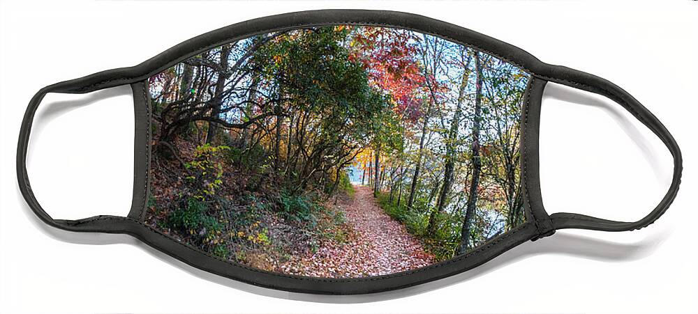 Carolina Face Mask featuring the photograph Through the Trees along the Trail by Debra and Dave Vanderlaan