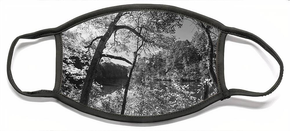 Carolina Face Mask featuring the photograph Through the Trees at the Lake Black and White by Debra and Dave Vanderlaan