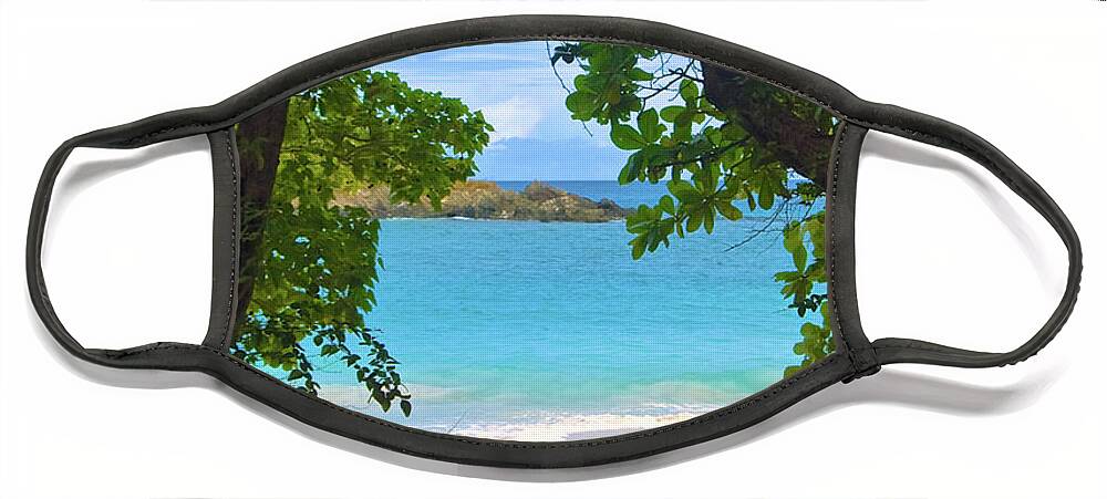 Beach Face Mask featuring the photograph Through the Trees to a Secluded Beach by Matthew DeGrushe
