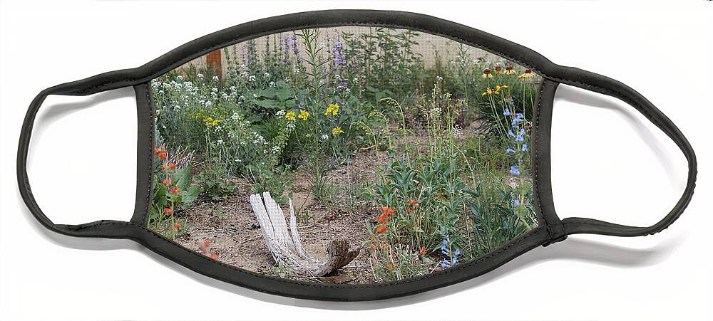 Native Wildflowers Face Mask featuring the photograph ThunderVisions Studio Flowerbed by Doug Miller