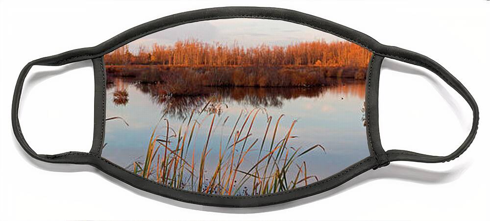 Preserve Face Mask featuring the photograph Tillman Preserve by Don Nieman