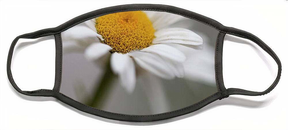 Wall Art Face Mask featuring the photograph Tiny Flower by Marlo Horne