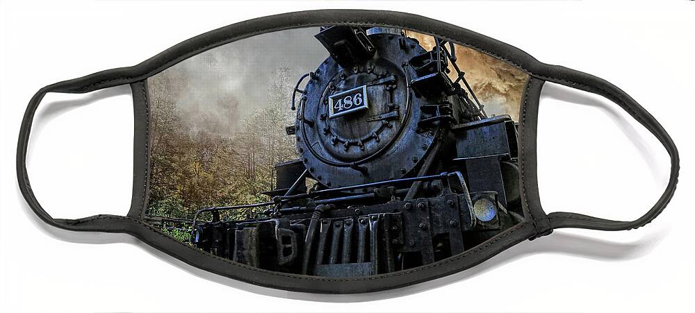 Durango & Silverton Face Mask featuring the photograph Too Close For Comfort by Donna Kennedy