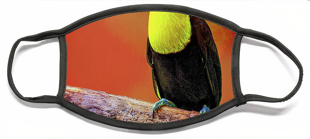 Toucan Face Mask featuring the photograph Toucan by Bill Barber
