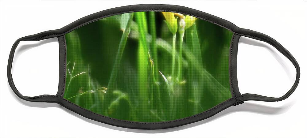 Grass Face Mask featuring the photograph Touch of Yellow by Jason Fink
