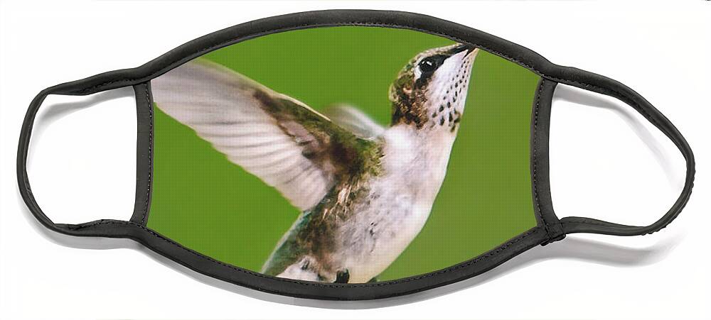 Hummingbird Face Mask featuring the digital art Touched Hummingbird by Christina Rollo