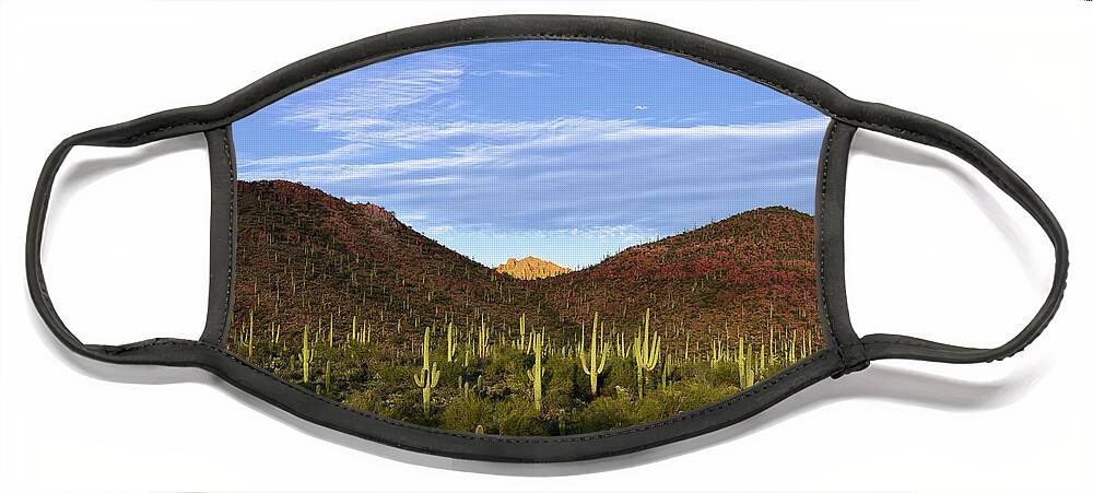 Arizona Face Mask featuring the photograph Tower Peak Peeks Light by James Covello