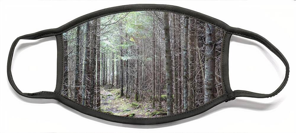 Maine Face Mask featuring the photograph Trail in Northern Maine Woods by Russ Considine