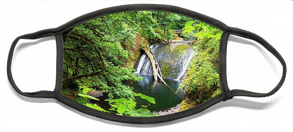 Bridge Face Mask featuring the photograph Trail of Ten Falls by Leslie Struxness