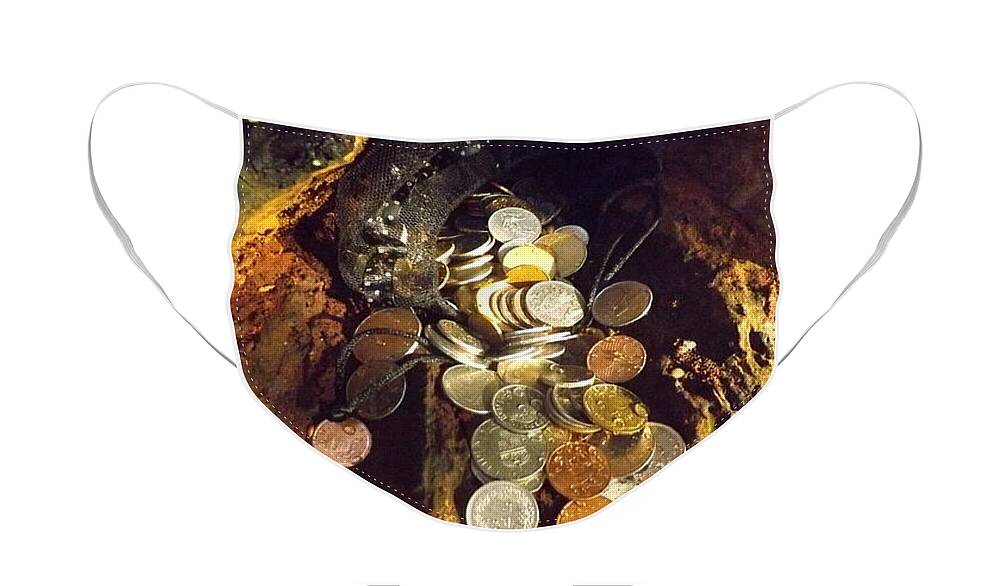 Travel Coins Face Mask featuring the photograph Treasure Bark 2 by Denise Morgan