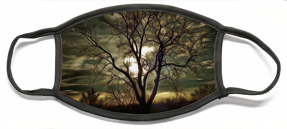 Tree Face Mask featuring the photograph Tree at Sunset by Christopher Reed