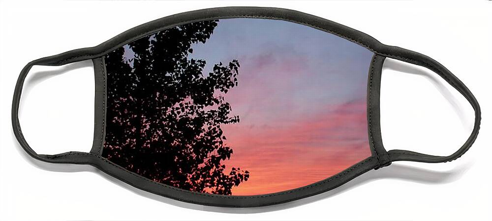 Tree Face Mask featuring the photograph Tree in Sunset by Mary Walchuck