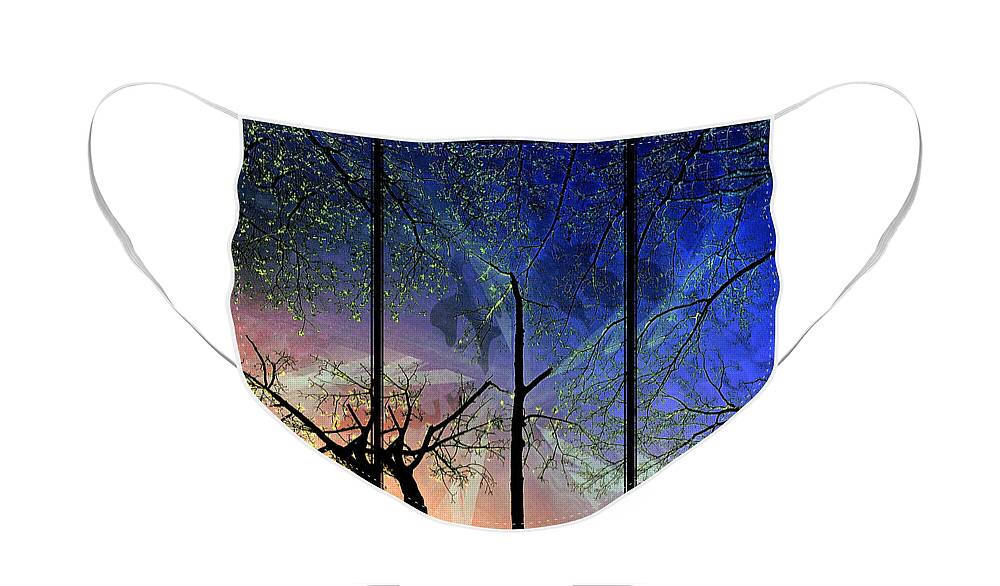 Trees Face Mask featuring the photograph Tree Trippin' by Rene Crystal