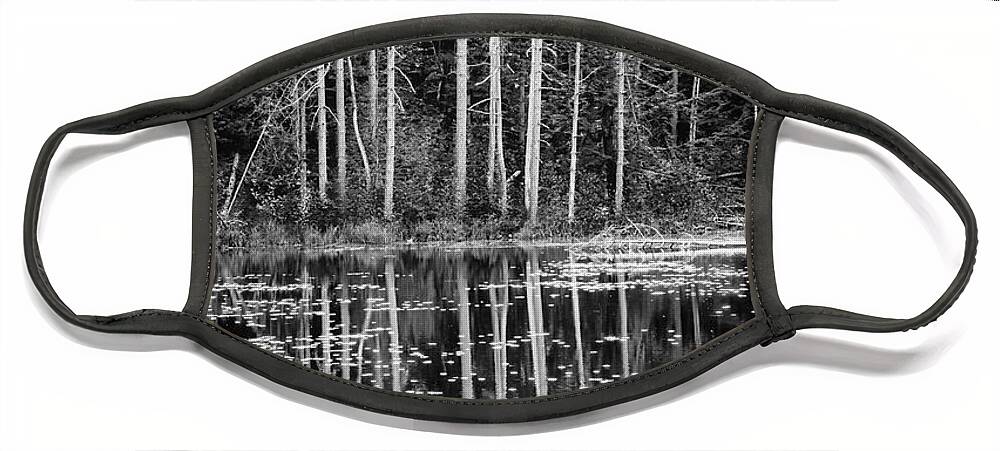 East Dover Vermont Face Mask featuring the photograph Trees And Pond by Tom Singleton