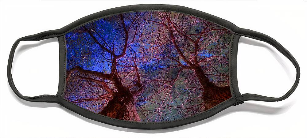 Trees Face Mask featuring the digital art Trees Pointing Toward Heaven by Russ Considine