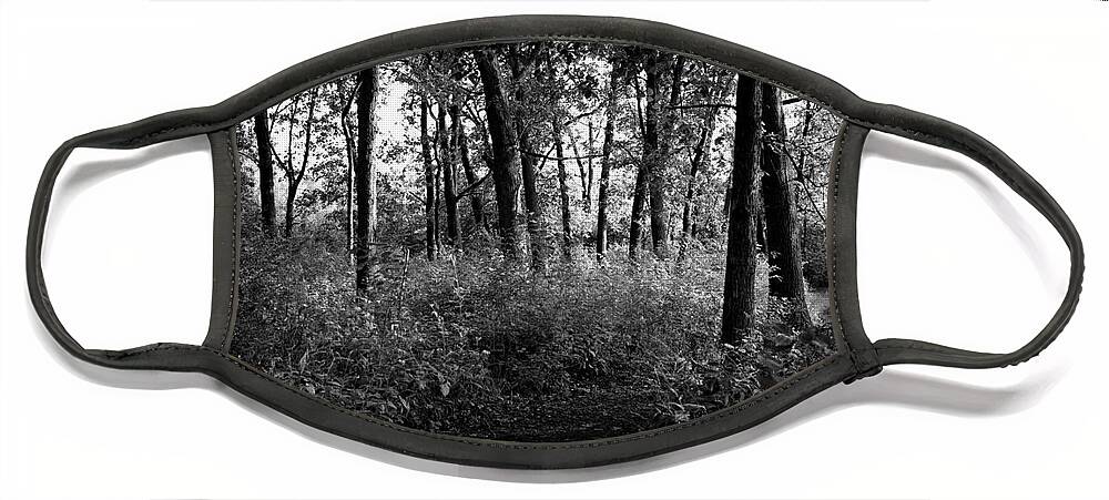 Nature Face Mask featuring the photograph Trees Through the Forest - Black and White by Frank J Casella