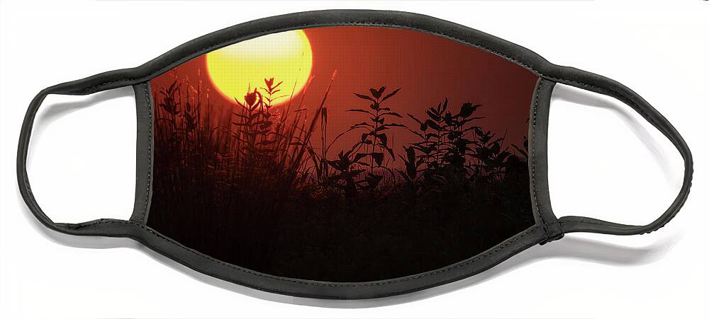 Sunset Face Mask featuring the photograph Trexler Nature Preserve Sunset July 31st Series 01 by Jason Fink