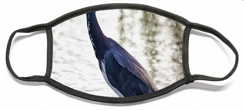 Heron Face Mask featuring the photograph Tri-Colored Heron by Rene Vasquez