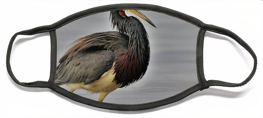 Tricolored Heron Face Mask featuring the photograph Tricolored Heron Portrait. by Joanne Carey