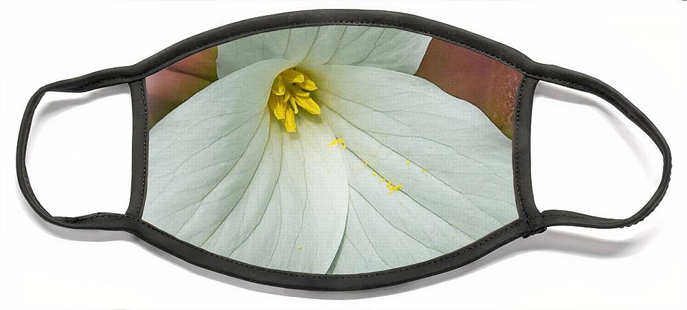 Spring Face Mask featuring the mixed media Trillium by Moira Law