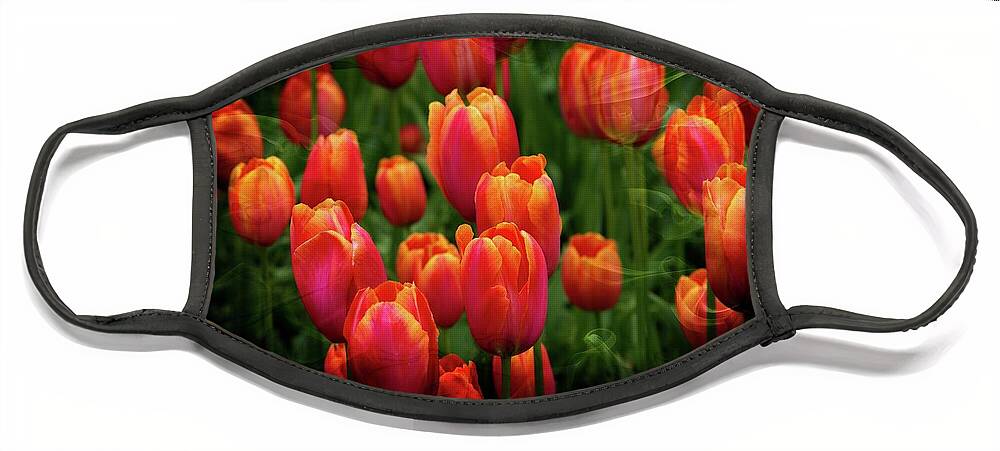 Tulips Face Mask featuring the photograph Tulip Field Beauty by Michelle Liebenberg