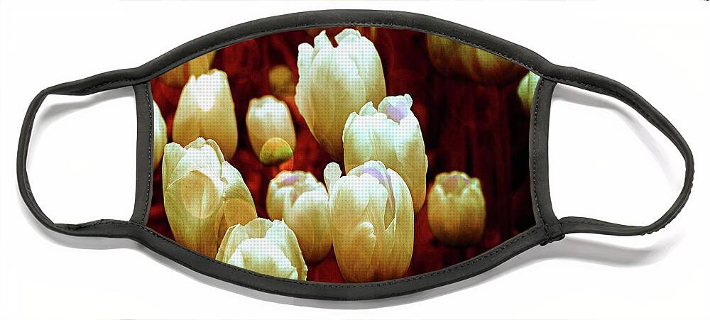 Tulips Face Mask featuring the photograph Tulips Garden Hibster by Michelle Liebenberg