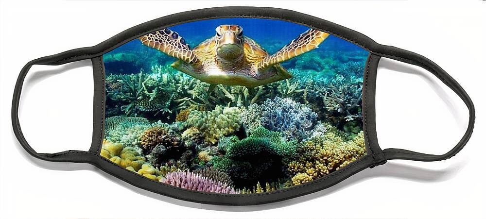 Photo Face Mask featuring the photograph Turtle Gliding Over Great Barrier Reef by World Art Collective