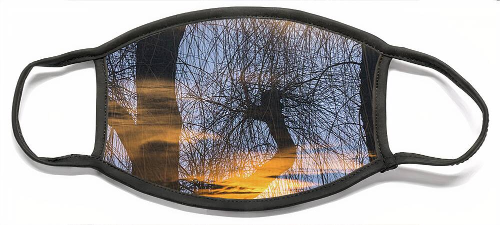 Netherlands Face Mask featuring the photograph Twilight zone in the magic forest by Casper Cammeraat