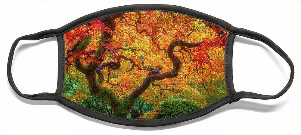 Fall Colors Face Mask featuring the photograph Twisted Autumn by Darren White