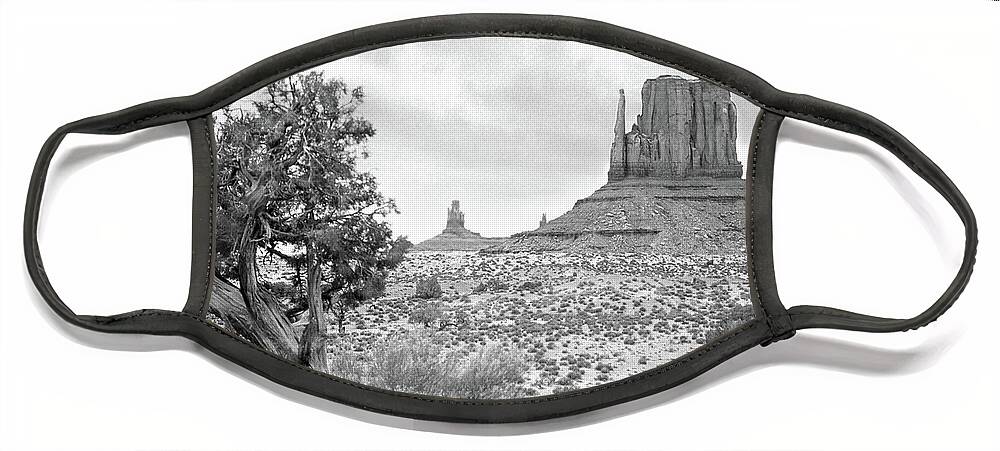Southwest America Face Mask featuring the photograph Twisted in Monument Valley by Mike McGlothlen