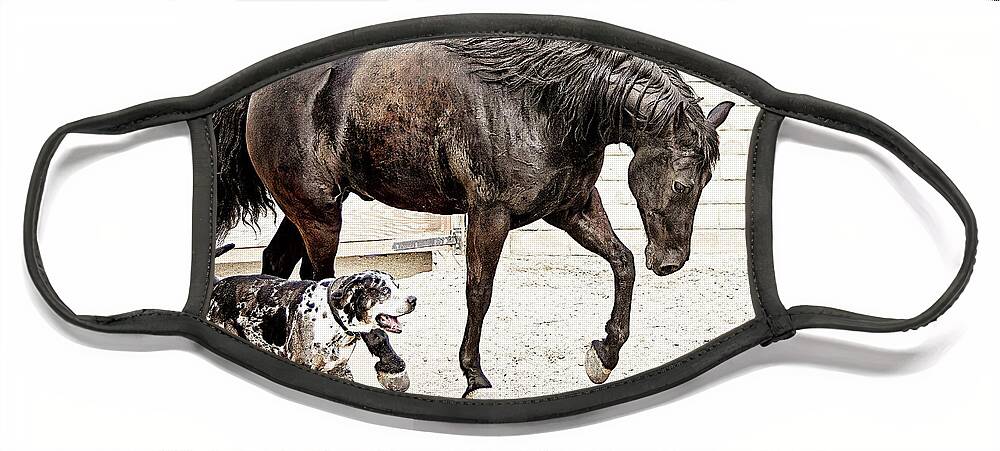 Horse Dog Art Face Mask featuring the photograph Two Friends by Jerry Cowart