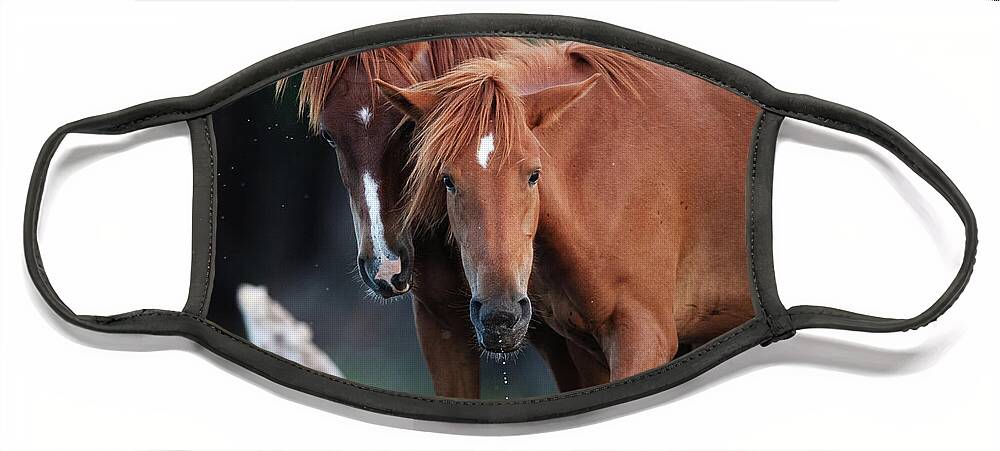 Cute Yearling Face Mask featuring the photograph Two by Shannon Hastings