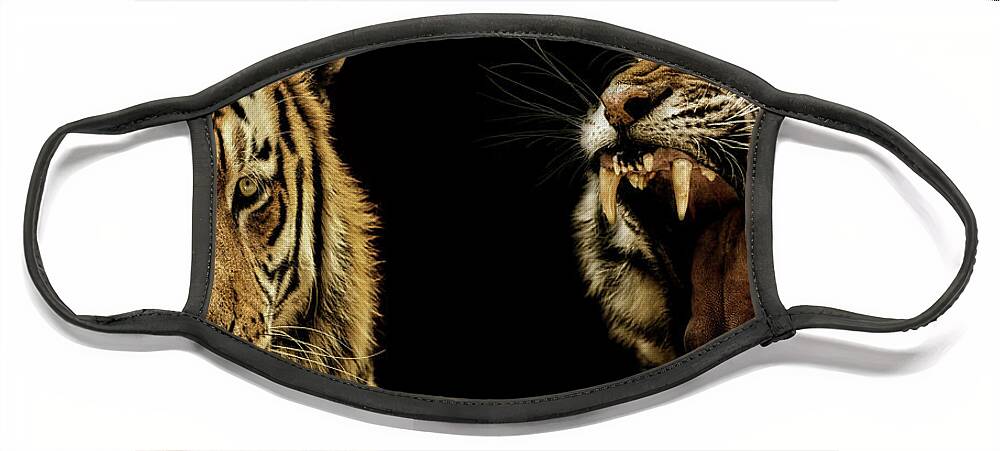 Endangered Species Face Mask featuring the photograph Cincinnati Bengals by Julian Starks Photography