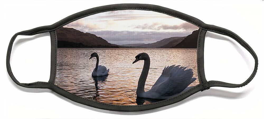 Panorama Face Mask featuring the photograph Ullswater Swans Sunrise Lake District by Sonny Ryse