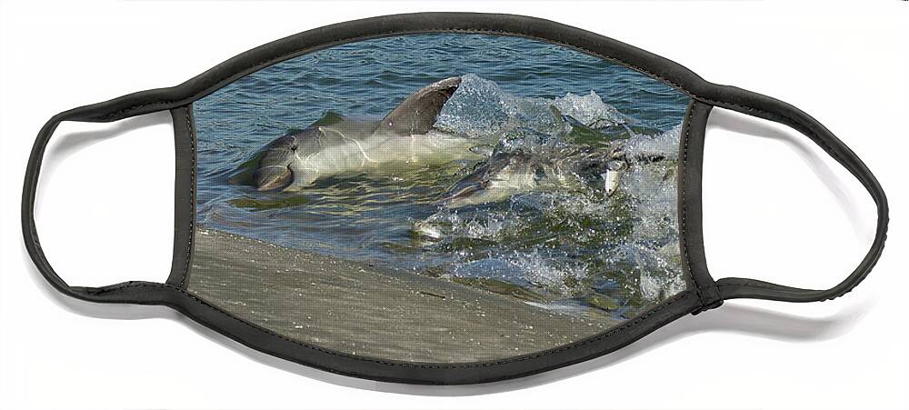 Dolphin Face Mask featuring the photograph Under the Sea by Patricia Schaefer