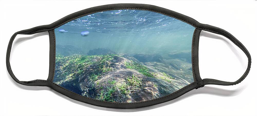 Underwater Face Mask featuring the photograph Underwater Scene - Upper Delaware River 1 by Amelia Pearn